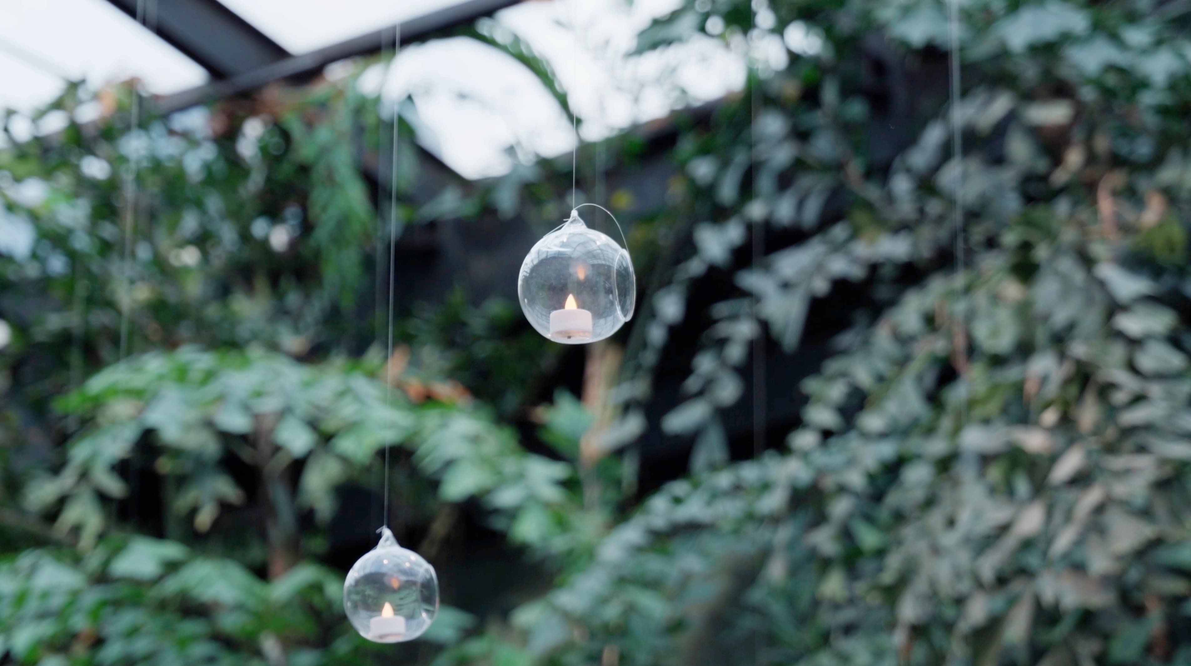 Velas em globos de vidro penduradas na vegetação da festa